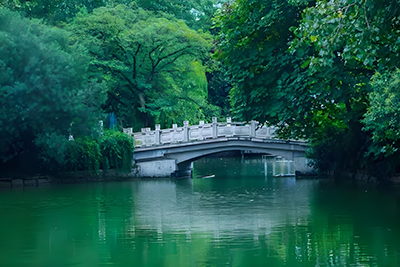 一花一叶，一懂一知